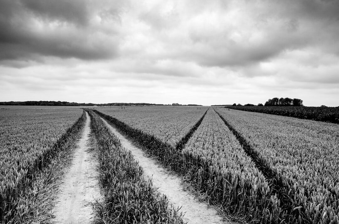 Scenic countryside road through Belgian farmland with a village in the distance